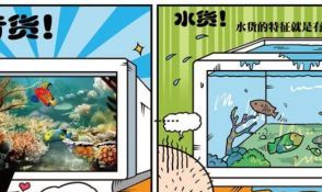 水货与行货有何区别