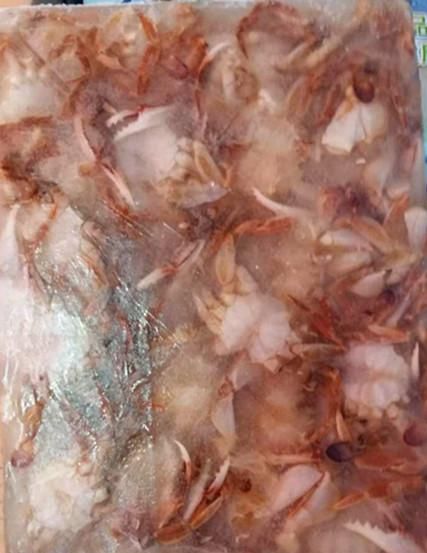 梭子蟹冰冻后为什么只有一滩水