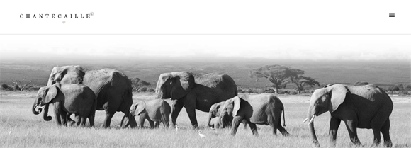 香缇卡是哪个国家的品牌？全球十大顶级护肤品牌排行榜