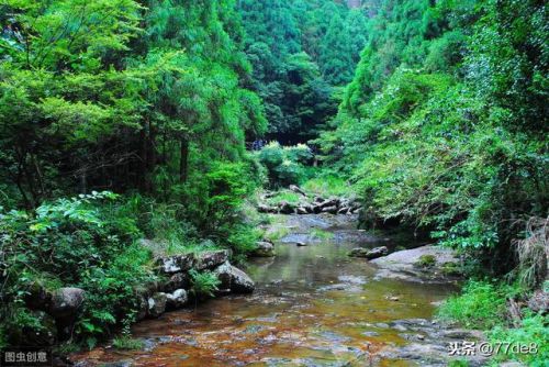 雁荡山地图 全图(雁荡山地图位置)-第4张图片-