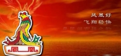 公路车捷安特和美利达哪个好(公路自行车捷安特和美利达哪个好)-第2张图片-