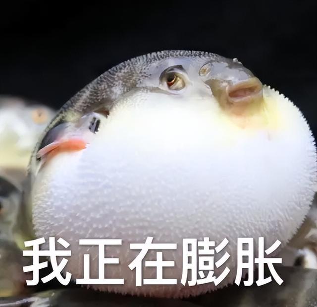 qq简易版界面(QQ极简版真正的小而美)(1)