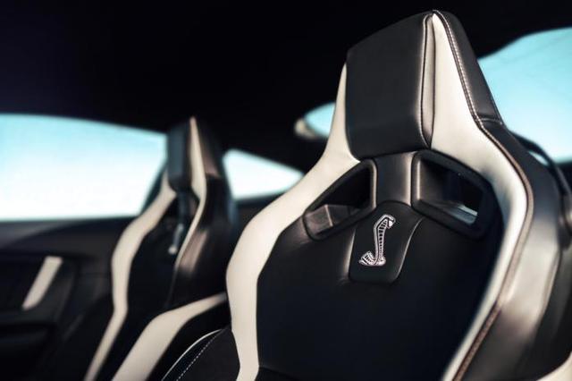 福特gt500眼镜蛇配置(凶悍的眼镜蛇福特Shelby)(12)