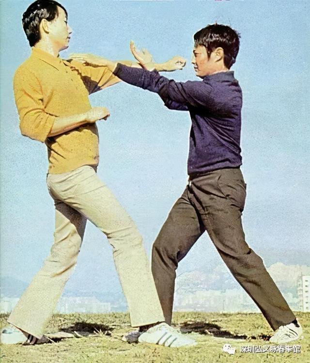 咏春拳技击自学全套(咏春小念头套路蕴藏的秘密)(6)