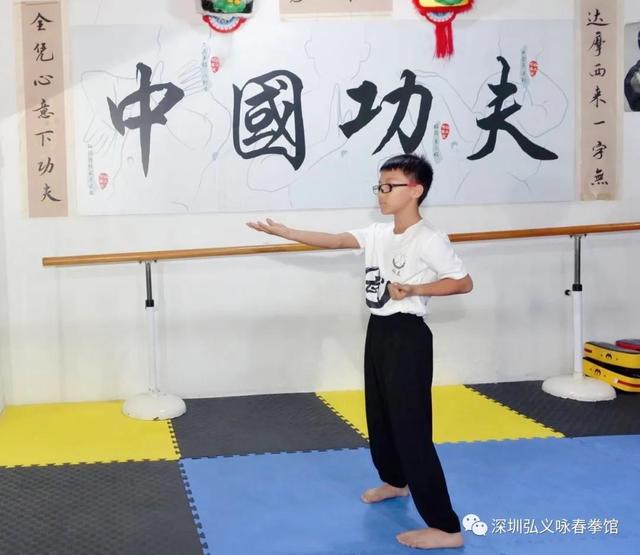 咏春拳技击自学全套(咏春小念头套路蕴藏的秘密)(4)