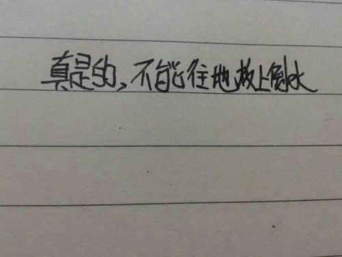 用即使也造句四年级下册(用即使也造句四年级)-第1张图片-