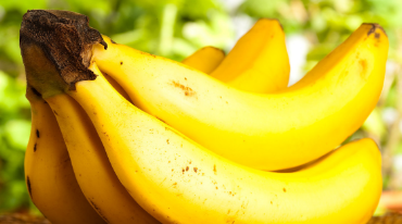 成熟的香蕉形状为什么大都是弯的,成熟的香蕉形状为什么大都是弯的?图3