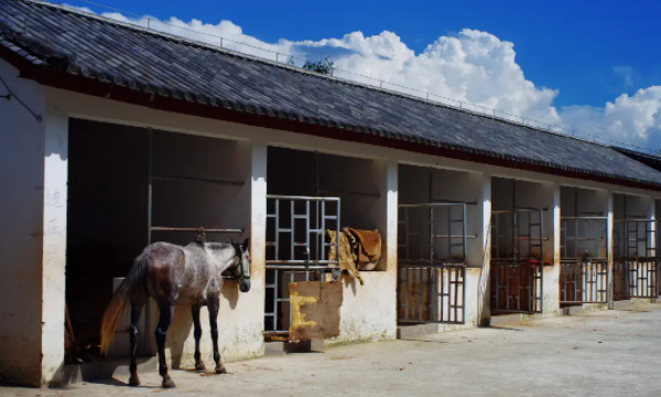 马的家被称为什么,什么是马儿的家填空图4