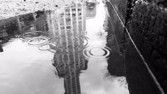 西雅图在美国哪里,西雅图在美国哪个洲?图6