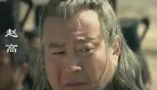 赵高又是怎么死的，赵高最后是怎么死的赵高是被子婴杀死的吗？图6