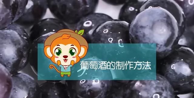 自制葡萄酒的酿制方法，干红葡萄酒的制作方法？图3