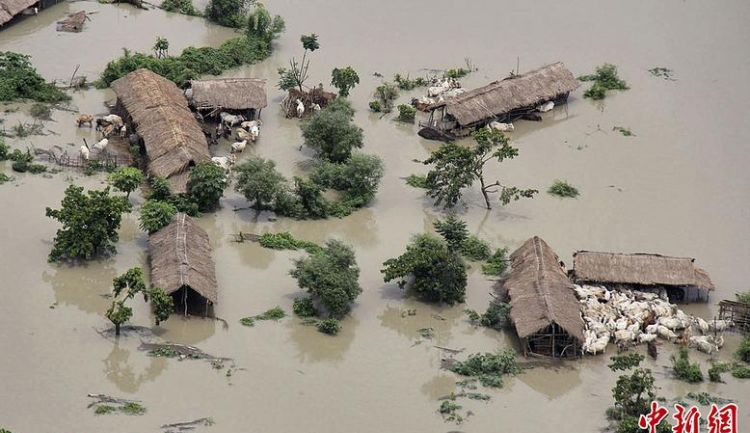 我国洪涝灾害的典型地区有