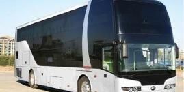 汽车可以带宠物吗，大巴车可以带宠物猫吗？放在箱子里的？图1