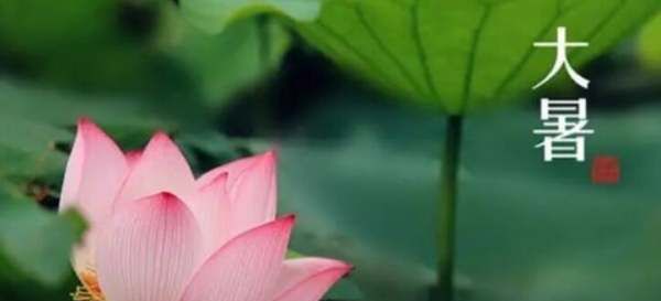大暑是什么意思,大暑什么意思图2