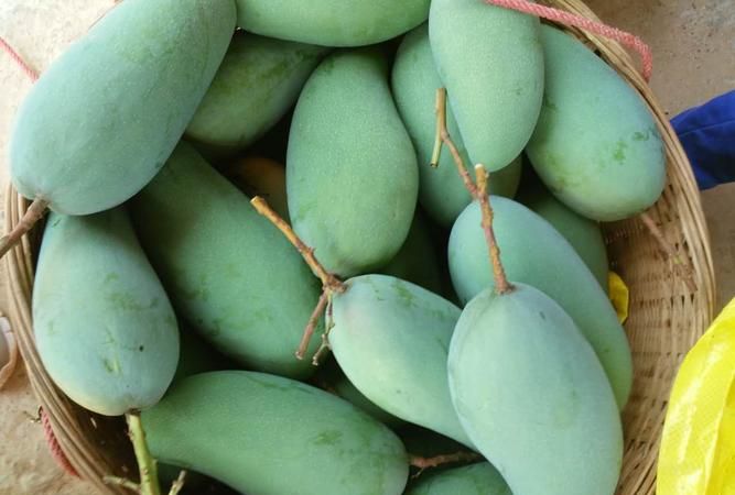 青芒硬的能吃吗