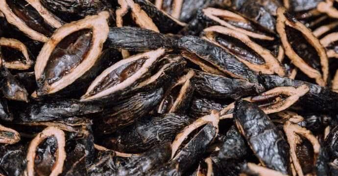 槟榔嚼多长时间就可以吐了?