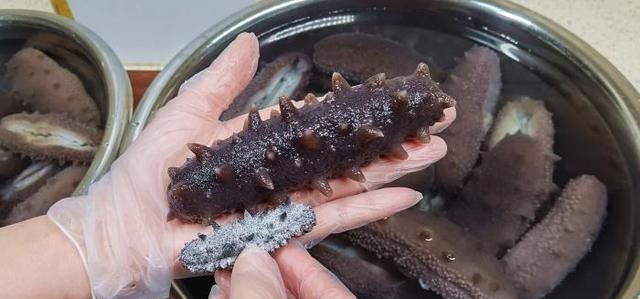 泡发好后的海参怎么保存
