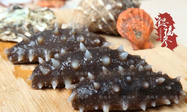 泡发后的海参能放多久 泡发海参的保存方法 避免浪费就要从食材保存开始