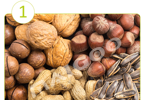 硬壳坚果有哪些