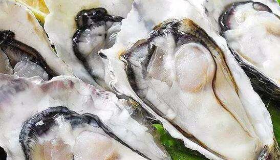 生蚝是牡蛎,生蚝和牡蛎是同一种东西吗图2