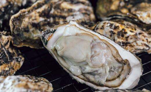 生蚝是牡蛎,生蚝和牡蛎是同一种东西吗图4