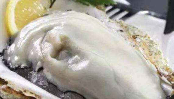 生蚝是牡蛎,生蚝和牡蛎是同一种东西吗图1