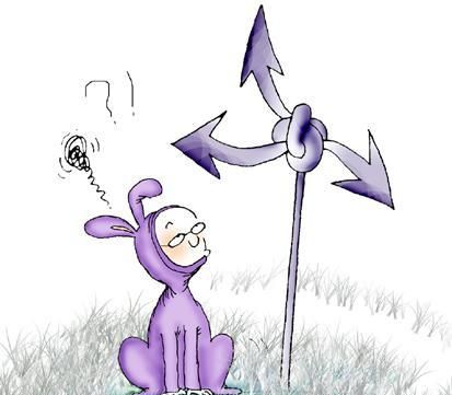 1、什么动物最没有方向