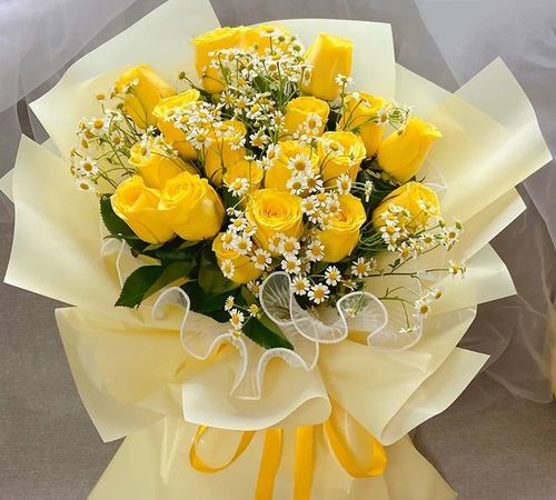 表示道歉的送女朋友的花，多少朵，什么花