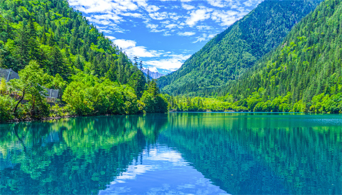 两岸猿声啼不住隐喻