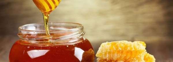 蜂蜜最佳取蜜是几月份,一般几月份可以采蜂蜜图2