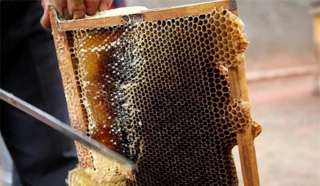 什么时候采的蜂蜜是最好的