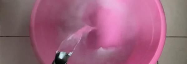 菜板生虫子怎么办,木砧板生蛀虫怎么办呢图3