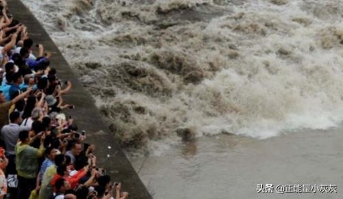 钱塘江大潮资料袋(钱塘江大潮资料10字)-第1张图片-