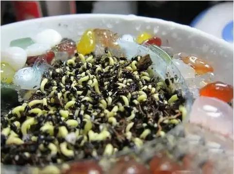 种植火龙果的盆栽方法（火龙果盆栽种植详细步骤）(11)