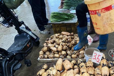 菜市场最畅销莲藕品种