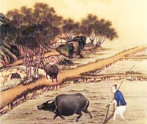 秦朝的暴力政策有哪些（秦朝的立法指导思想包括哪些）