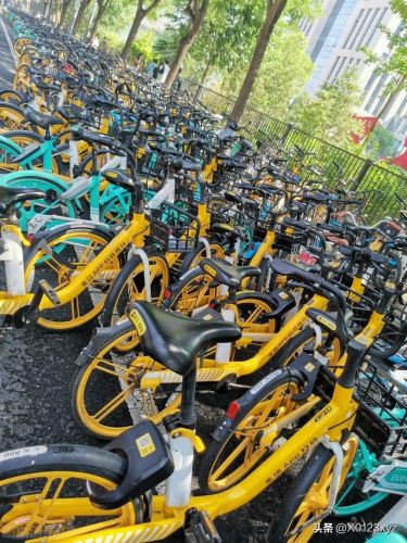 平板电脑生产厂商和消费者谁是纳税人谁是负税人?平板电脑生产厂商排名-第1张图片-