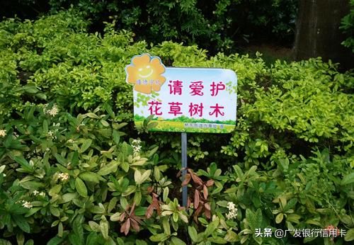 6 25全国土地日(625全国土地日活动)-第3张图片-