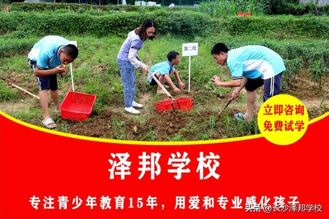 全封闭式特训学校有哪些（少年封闭式特训教育学校）(3)