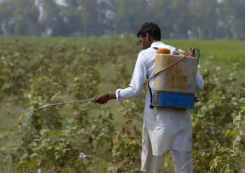 德里孟买工业走廊(德孟工业走廊长度多少公里)