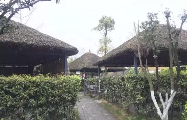 成都周边农家乐推荐 成都周边最值得去的10家农家乐(5)