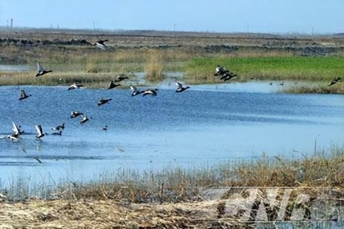 银川旅游景点十大排名(银川旅游景点攻略一日游)-第2张图片-