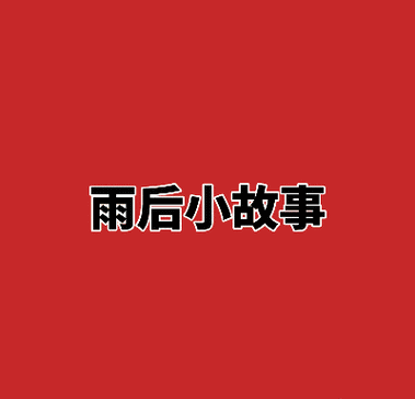 雨后的故事1-4完整,雨后的故事作文600-第1张图片-