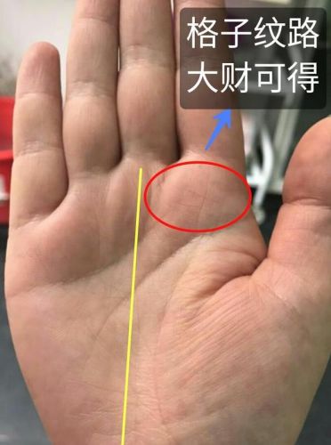 女生怎么看手相图解?怎么看手相图解-第1张图片-