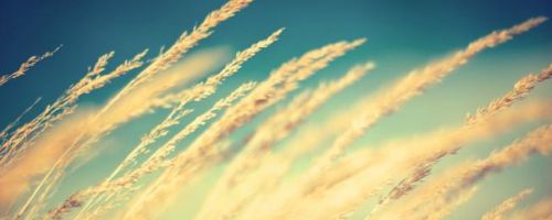 幽默笑话的句子(减肥幽默笑话句子)-第1张图片-