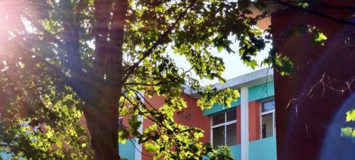 高考后祝福语 前程繁花似锦(高考后祝福语简短4字句)-第1张图片-