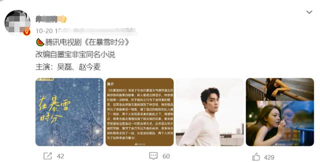 吴磊赵今麦合作的电视剧(在暴雪时分筹拍)(3)