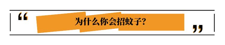 教你防蚊小妙招再多蚊子也不怕(夏天一到随处是蚊子)(2)