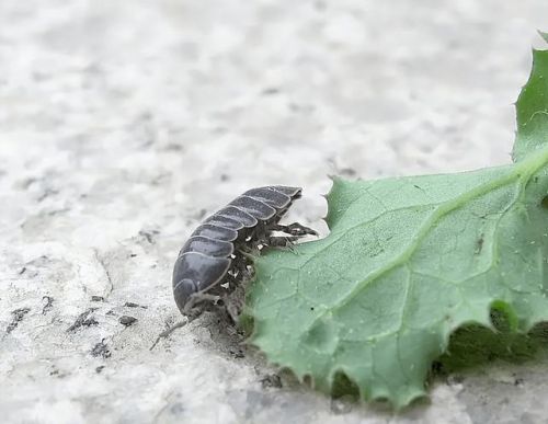 幼儿园讲故事简短小故事(幼儿园讲故事活动方案)-第1张图片-