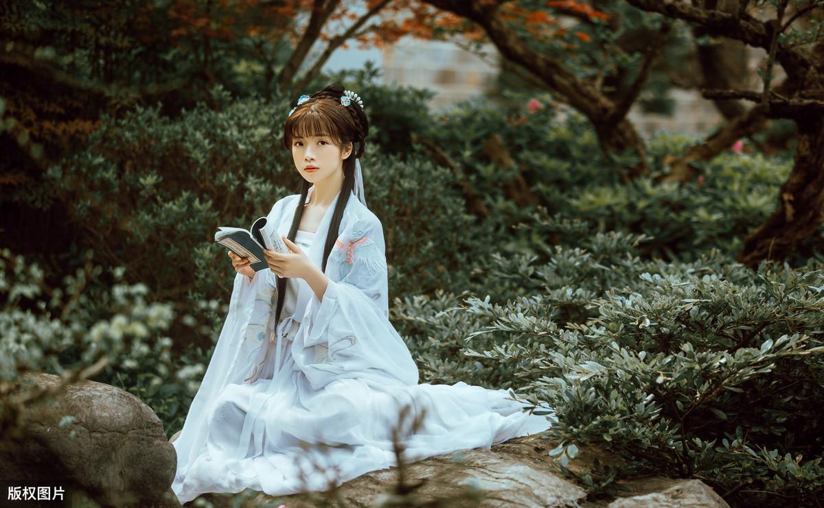 梨花美的诗句 描写梨花的唯美诗词（描写梨花古诗十首）